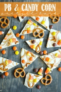 Blogger Spotlight: Something Swanky / by Busy Mom's Helper #favoritebloggers #recipes