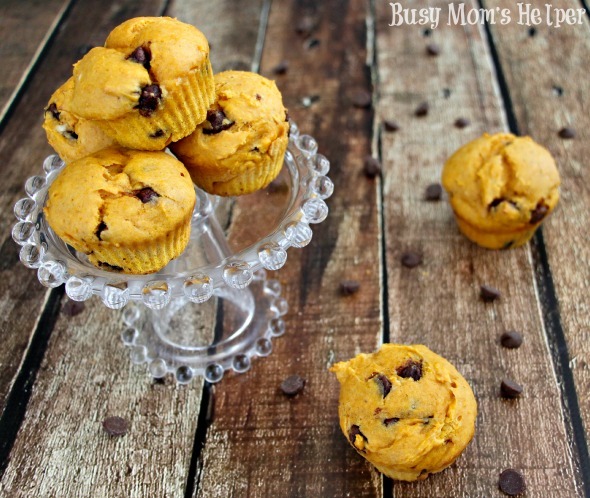 Pumpkin Chocolate Chip Muffins / by Busy Mom's Helper #muffins #pumpkin
