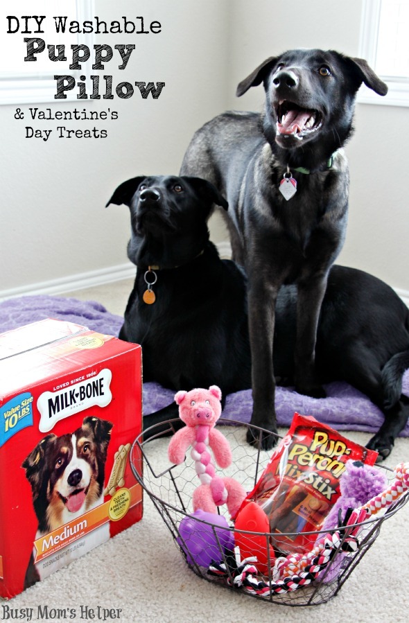 DIY Washable Puppy Pillow & Valentine's Day Treats / by Busy Mom's Helper #puppies #sewing #craft #Valentines #TreatThePups #Ad