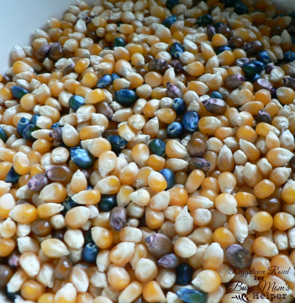 Make Your Own Indian Corn by Riggstown Road for Busy Mom's Helper