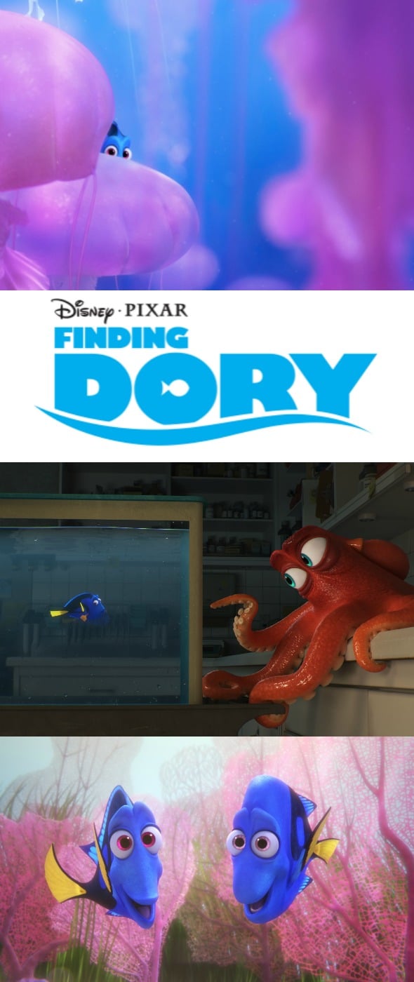 Finding Dory