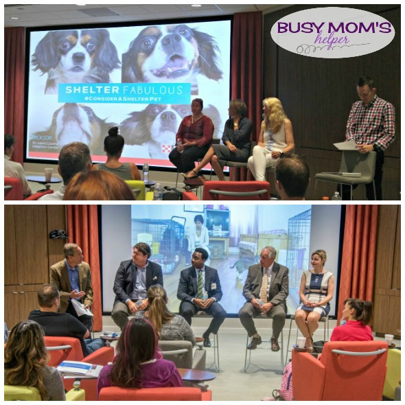 Purina supports many local and national charities #MeetPurina #ad