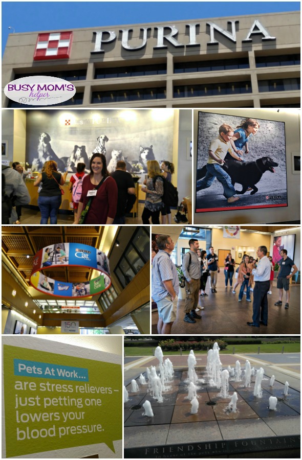 A fun day exploring Purina offices #MeetPurina #ad