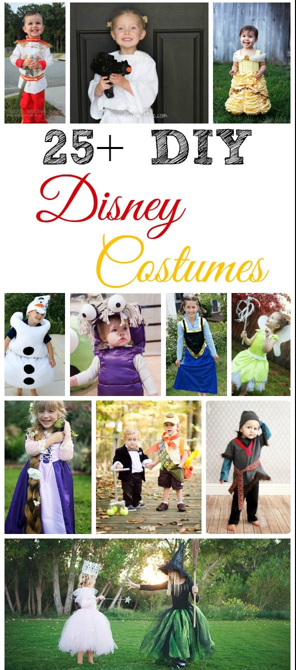 25+ DIY Disney Costumes