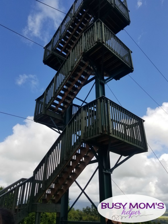 Ziplining in Hawaii with Outfitters Kaua'i #Ad #KauaiDiscovery