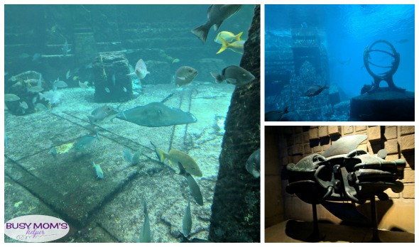 Atlantis Resort Bahamas: Our Aquaventure Day #AD #atlantisbahamas #bahamasatheart