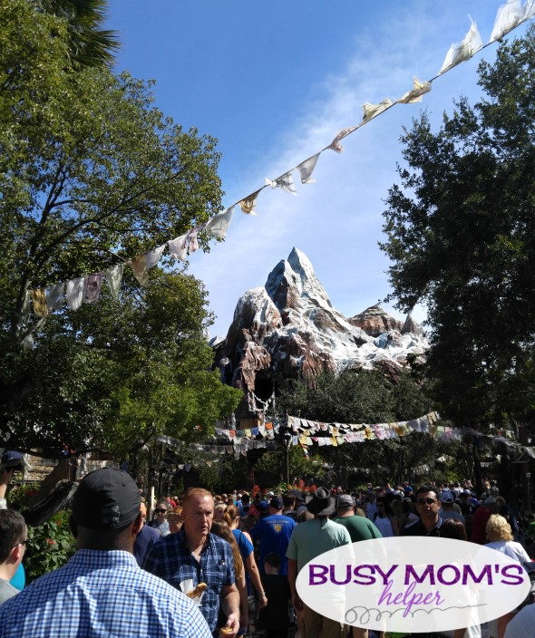 Best Disney World Ride Hacks #waltdisneyworld #familytravel #travel #disney