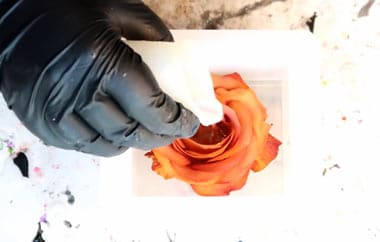 How to Preserve Flowers in Resin