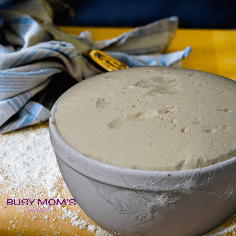 Photo of proofed dough in a white bowl covered in plastic wrap.
